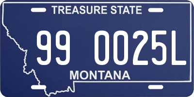 MT license plate 990025L