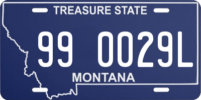 MT license plate 990029L