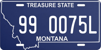 MT license plate 990075L