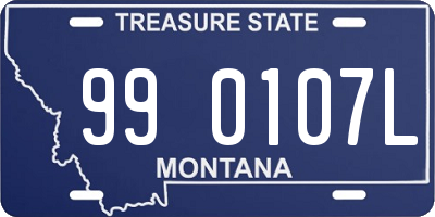 MT license plate 990107L