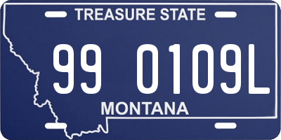 MT license plate 990109L