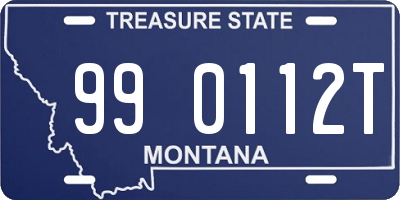 MT license plate 990112T