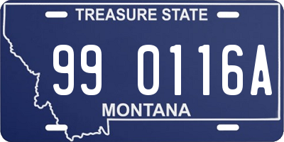 MT license plate 990116A