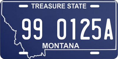 MT license plate 990125A