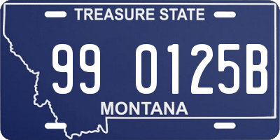 MT license plate 990125B