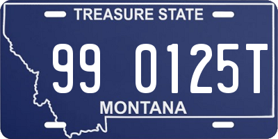 MT license plate 990125T