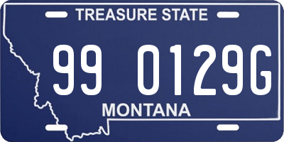 MT license plate 990129G