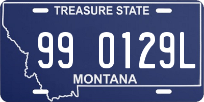 MT license plate 990129L