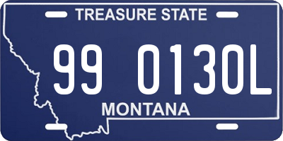 MT license plate 990130L