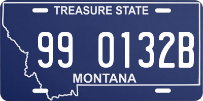 MT license plate 990132B