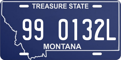 MT license plate 990132L