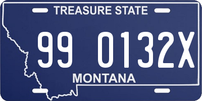 MT license plate 990132X