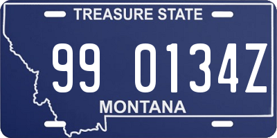 MT license plate 990134Z