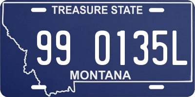 MT license plate 990135L