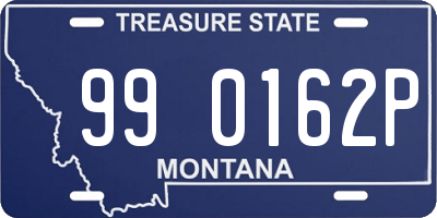 MT license plate 990162P