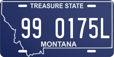 MT license plate 990175L