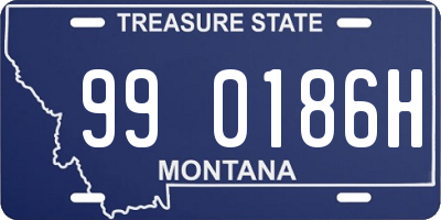 MT license plate 990186H