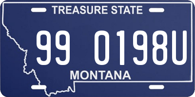 MT license plate 990198U