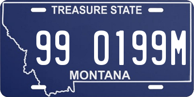 MT license plate 990199M