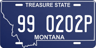 MT license plate 990202P