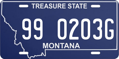 MT license plate 990203G