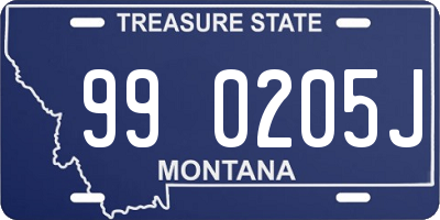 MT license plate 990205J