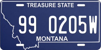 MT license plate 990205W