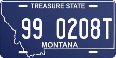 MT license plate 990208T