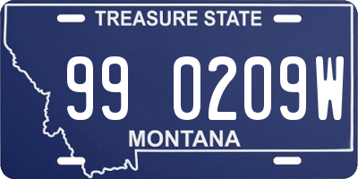 MT license plate 990209W