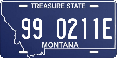 MT license plate 990211E