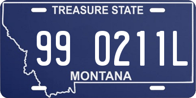 MT license plate 990211L