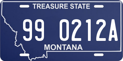 MT license plate 990212A