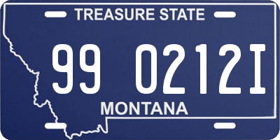 MT license plate 990212I