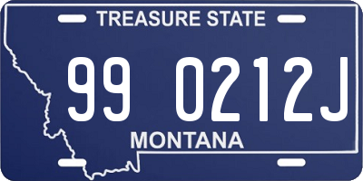 MT license plate 990212J