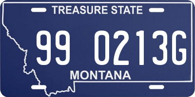 MT license plate 990213G