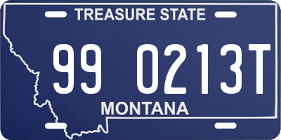 MT license plate 990213T