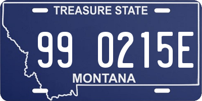 MT license plate 990215E