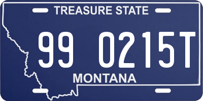 MT license plate 990215T