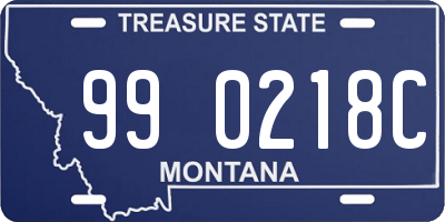 MT license plate 990218C