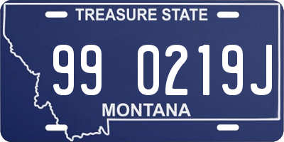 MT license plate 990219J