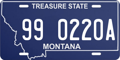 MT license plate 990220A