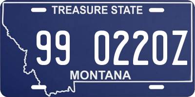 MT license plate 990220Z