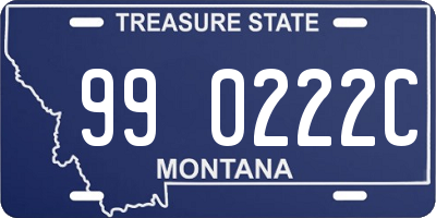 MT license plate 990222C