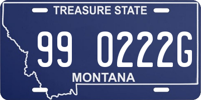 MT license plate 990222G