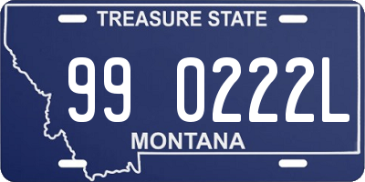 MT license plate 990222L