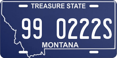 MT license plate 990222S