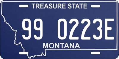 MT license plate 990223E