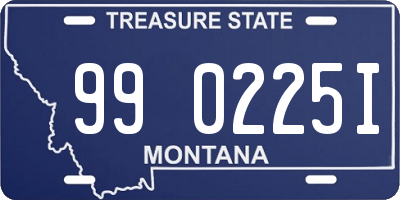 MT license plate 990225I