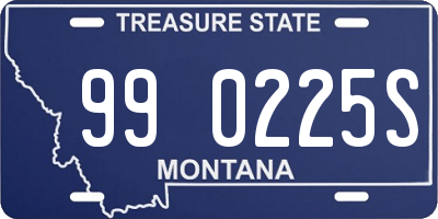 MT license plate 990225S