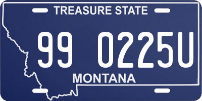 MT license plate 990225U